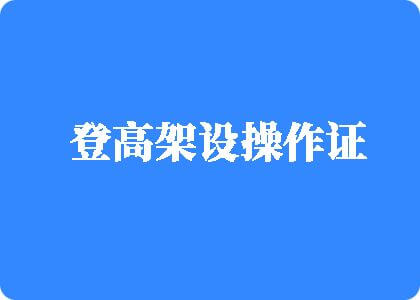 看操逼逼视频登高架设操作证